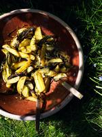 Lækre fritter med sprøde ramsløg. 