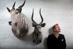 Fri fantasi. Morten Angelo ville aldrig selv gå på jagt. Men han er fascineret af, hvordan dyrene levede, før de blev til kunst. Hans dekorerede trofæer koster fra 28.000 kr. 