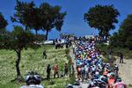 Opgradering. Feltet  på vej over en bakke i  gårsdagens sjette etape af Giro d'Italia. I dag byder på en mere udfordrende bjergetape. 