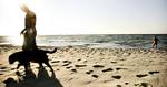 SOMMERREGEL. De danske strande er fyldt med badende om sommeren. Derfor skal hunde være i snor. 