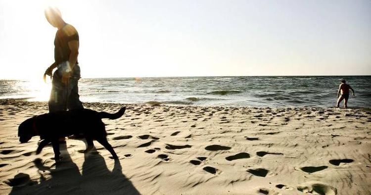 SOMMERREGEL. De danske strande er fyldt med badende om sommeren. Derfor skal hunde være i snor. 