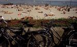 Sommer? Den seneste uges sommervejr bliver nu afløst af mere køligt og ustadigt vejr. 