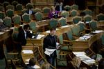 Surt? SF's politiske ordfører får sig en snak i folketingssalen om rugbrød og surdej. 