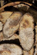 mademmerbr_d_23-10-2011_EDCP47A.jpg