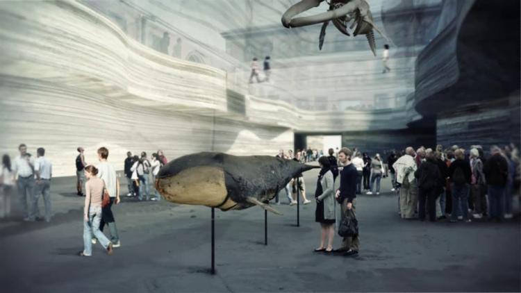 naturhistorisk museum