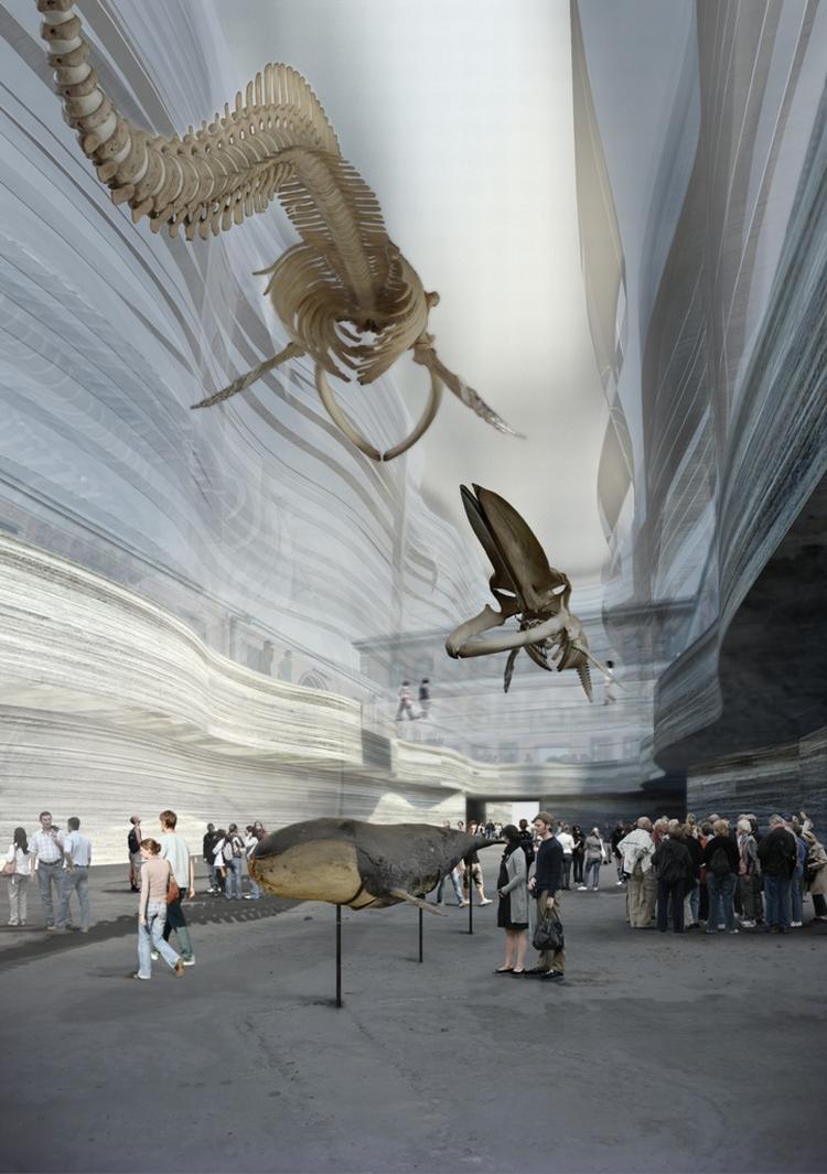 Inden 2022 skal  Statens Naturhistoriske Museum have fundet en kvart milliard, som er det manglende beløb til det nye museum, hvor der bl.a. skal indrettes en hval-sal, sådan som det ses på grafikken. 
Fonde har stor interesse i dette projekt, mener ekspert. 