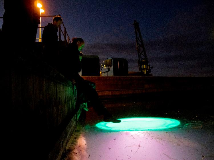 Robotliv. Ud for Langelinie vil man i denne uge kunne opleve, hvordan syve såkaldte orb'er reagerer på omgivelserne. De lyser grønt, når de er glade og flygter med et rødt skær, når de er bange. 