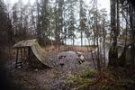 skov -FIND