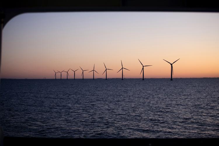 Energi. Havvindmøllparkerne risikerer at lide under den sløve udbygning af elnettet. 