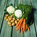 ængstelse. Dansk Gartneri kritiserer en analyse af indholdet af rester af sprøjtegift i frugt og grønt i EU. Analysen viser intet om, hvor grøntsagerne kommer fra og heller ikke noget om, over hvor mange år de er samlet ind, siger de danske gartnere. 