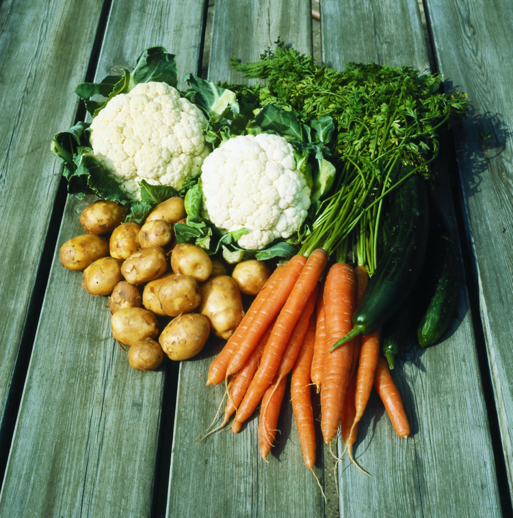 ængstelse. Dansk Gartneri kritiserer en analyse af indholdet af rester af sprøjtegift i frugt og grønt i EU. Analysen viser intet om, hvor grøntsagerne kommer fra og heller ikke noget om, over hvor mange år de er samlet ind, siger de danske gartnere. 