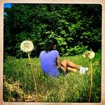 Tvangsfjernelse. Hun er kommet fra Etiopien og til Danmark, fra en adoptivfamilie til en plejefamilie og derfra til en døgninstitution. Næstved Kommune siger,  at de gør det for at varetage hendes tarv – men Amy selv er dybt uenig: Hun ønsker kun at være hos sin plejefamilie. 