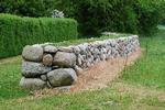 Vissent. Græsklipperen kan ikke nå helt ind til stendiget, så derfor tager sprøjtemidler i brug, hvilket efterlader en kedelig brun græskant i stedet for smukke vilde blomster. 