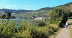 Fantastiske Mosel. Vinmarkerne knejser over Bernkastel ved Mosel, hvor man dog også kan cykle i et nogenlunde fladt terræn. 