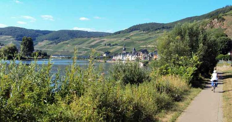 Fantastiske Mosel. Vinmarkerne knejser over Bernkastel ved Mosel, hvor man dog også kan cykle i et nogenlunde fladt terræn. 