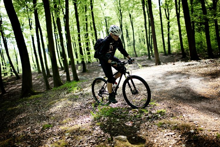 Konflikt. De danske skover danner rammer om en konflikt mellem mountainbikere og hundeluftere. 