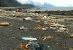 Forurening. Vragresterne er allerede begyndt at dukke op, her på en strand i Alaska. 