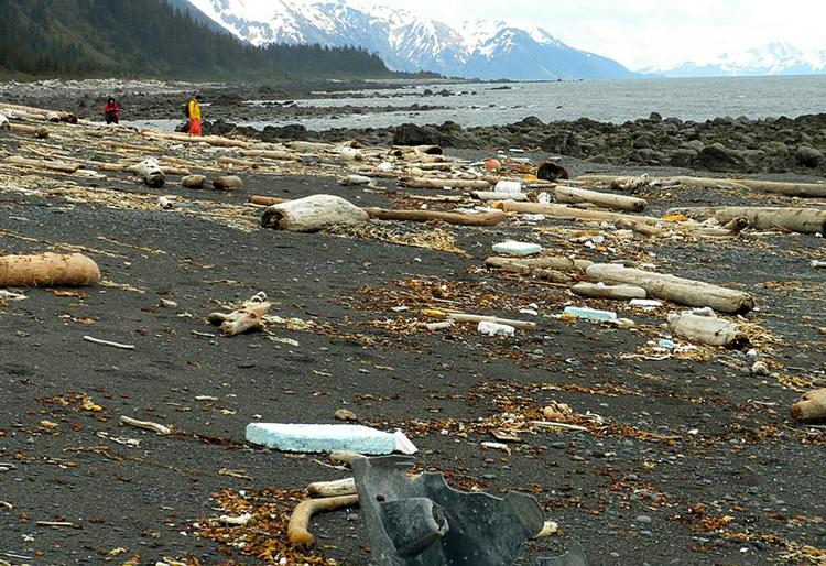Forurening. Vragresterne er allerede begyndt at dukke op, her på en strand i Alaska. 