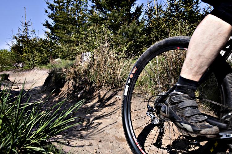 AGGRESSION. Mange af tjek.dks læsere har et horn i siden på skovens nye skabninger, MTB-rytterne. (Arkivfoto) 