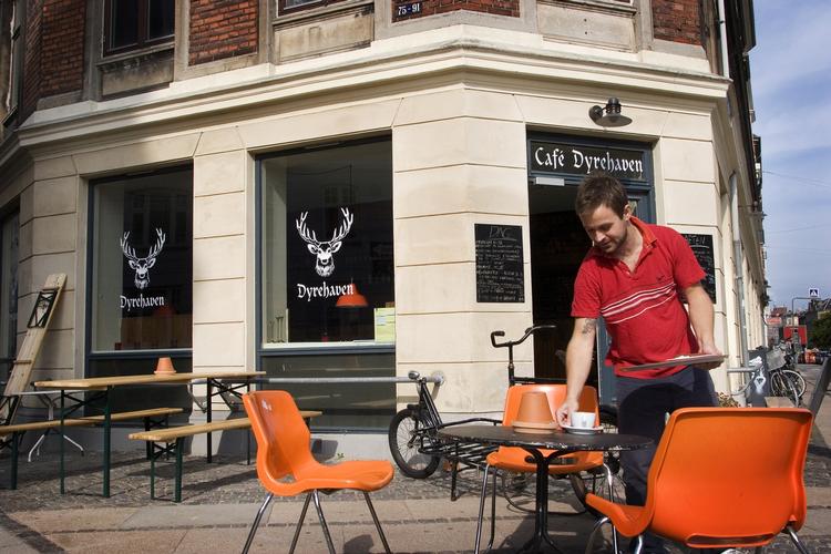 Sønder Boulevard har efterhånden en række gode caféer, hvor man kan sidde udendørs og få sig en kop kaffe eller øl, mens man kigger ud over blomstrende træer og bordtennisspillere. 