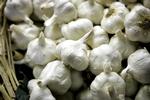 HVIDLØG. Det lille stærke løg kan have sundhedsfremmend egenskaber - en læser her er dog i tvivl, om han alligevel er bygget af vampyrgener. 