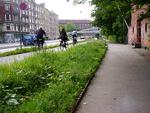 cykelrute. Langs Åboulevard i København kan cyklister nyde en fin vejkant, der bare klippes en gang eller to om året. Privatfoto. 