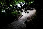 ind-parken_18-06-2012_PDEFDR7.jpg