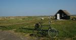 Pusterum. Hedelandskabet ved Hvide Sande og Vejlerne byder på duftende natur og symfoniske fuglestemmer. 