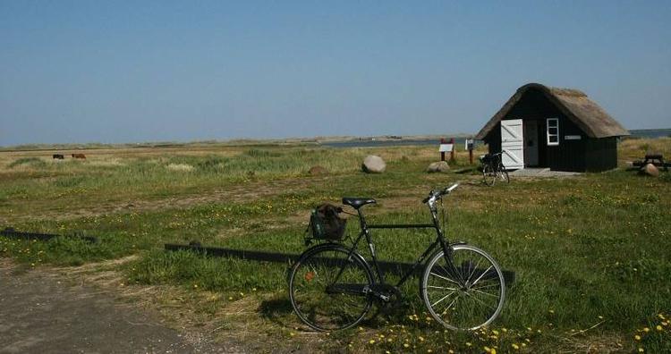Pusterum. Hedelandskabet ved Hvide Sande og Vejlerne byder på duftende natur og symfoniske fuglestemmer. 