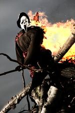 Sankt Hans aften