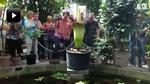 webtv: Timelapse: Se ligblomsten liv i 20 timer på tre minutter