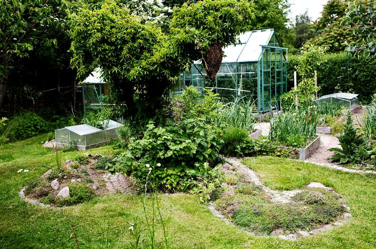 Artsrig. Karin Gutfelt og Torben Overgaard faldt bl.a. for de gamle frugttræer i haven, da de købte hus i 1995. Siden er mange andre planter og dyr kommet til i haven, hvor økologi og hele livscyklusser er i højsædet.