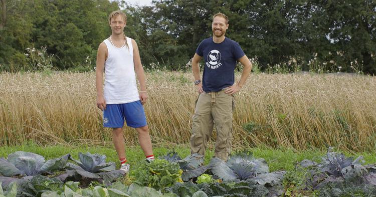 køkkenhave. Kogebogsforfatterne Nikolaj Kirk og Mikkel Maarbjerg i det grønne. 