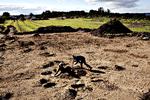 Vikingefund. Her ved Füsing har arkæologer blotlagt resterne af de bygninger, som vikingetidens elite ved Dannevirke holdt til i. Dette fund skete i 2010. 