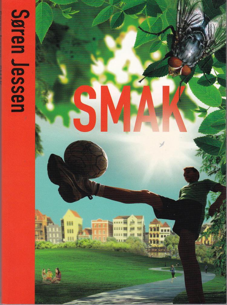 FEJLSKUD. Søren Jessen fortæller historien om Mathias, der rammer fodbolden forkert, fordi en spyflue blander sig. Illustration: Mette Damsgård Nielsen/ udsnit af bogforside