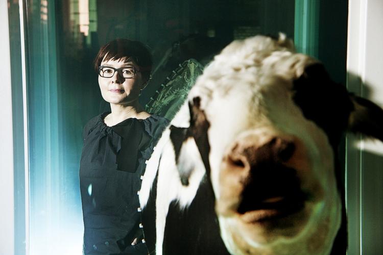 Udsyn. Stine Høholt har en central rolle i udstillingerne på ARKEN. Her ses hun bagved et udsnit fra Damien Hirst's værk 'Love Paradox', som består af to halve køer nedsænket i formaldehyd. 