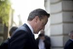 Folkeafstemning. Premierminister David Cameron ønsker et »bedre forhold til Europa«. 