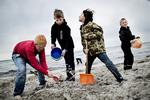 uforanderligt. Stranden i Ishøj i begyndelsen af juni. Her - en lille måneds tid efter - er det ikke blevet meget bedre. 