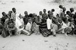 Bortført. Fire ansatte ved denne flygtninge lejr i Kenya blev i fredags bortført. I nat blev de befriet af somaliske regeringsstyrker. 