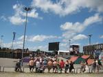 Fodbold. Skaterområdet på Roskilde Festival forventes fyldt af fodboldfans, når Spanien og Italien mødes i EM-finalen 2012. 