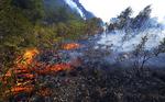 Skovbrande. 2000 spanske brandfolk kæmper for at en stribe skovbrande væk fra beboede område. 