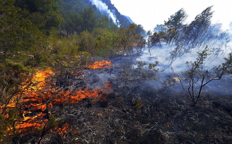 Skovbrande. 2000 spanske brandfolk kæmper for at en stribe skovbrande væk fra beboede område. 