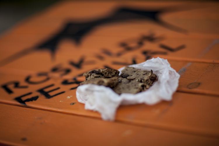 Roskilde. Politiet har skærpet indsatsen mod stofferne. 