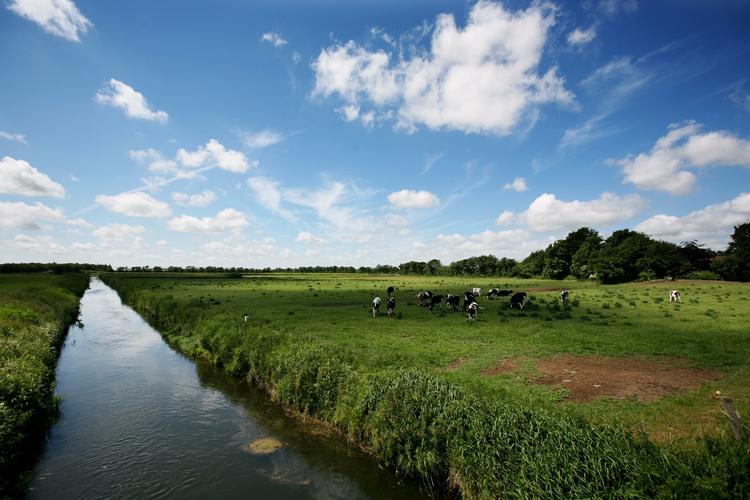 Randzoner. Landmandsformand frygter, randzonerne er første skridt til, at alle får adgang til landmændenes jord i stil med Sverige. 