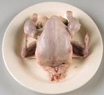 Nam-nam. Et stigende antal danskere rammes af campylobacter. 