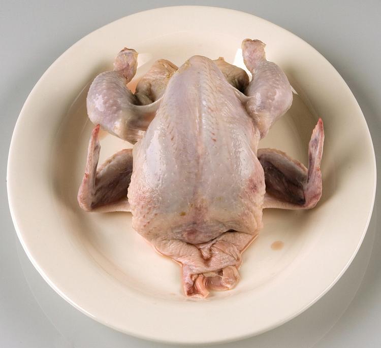 Nam-nam. Et stigende antal danskere rammes af campylobacter. 