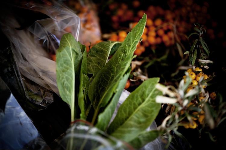 I Torvehallerne kan man købe flere specialvarer, der er svære at finde i supermarkederne. Bl.a. strandkarse og havtorn. 
