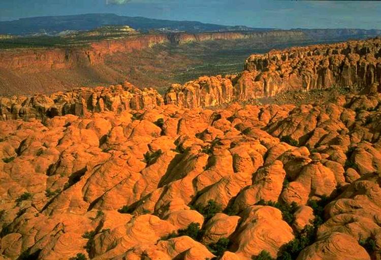 Ørken. 28-årige Martin LaFever kunne hverken kravle eller gå, da han blev fundet i Escalante-ørkenen i Utah. 