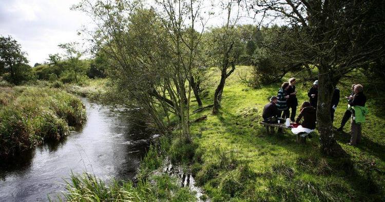 Hygge. Vandreturen går gennem snoede å-landskaber og over marker - husk at holde pauser undervejs og nyd de smukke scenarier. 