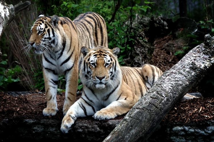 Archive 